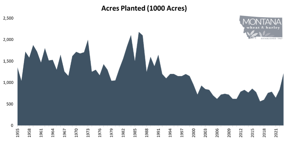 Barley Acres in Montana