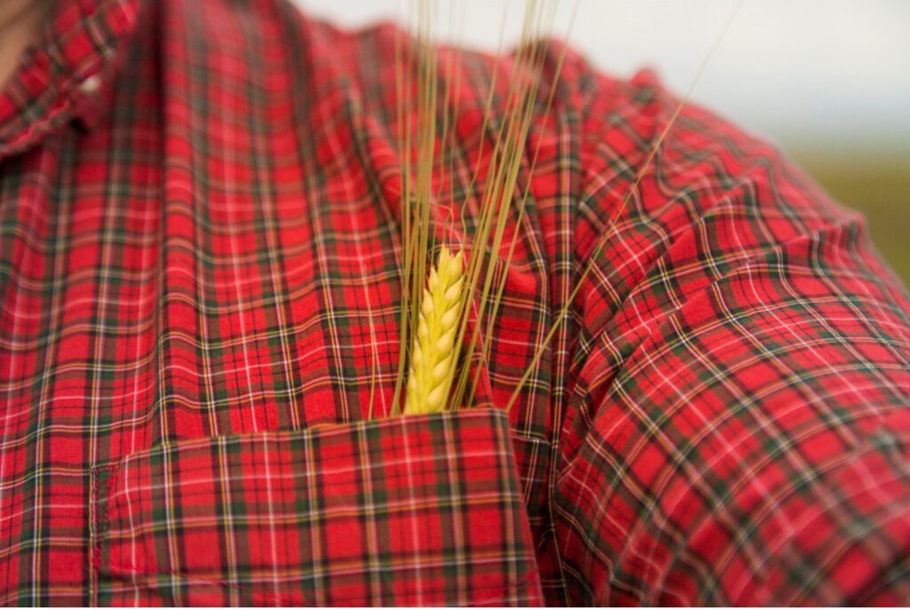 Farmer with Barley in Pocket