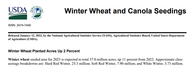 Winter Wheat & Canola Seeding January 2023
