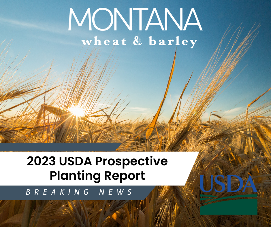 Montana Prospective Planting Report Montana Wheat and Barley Committee