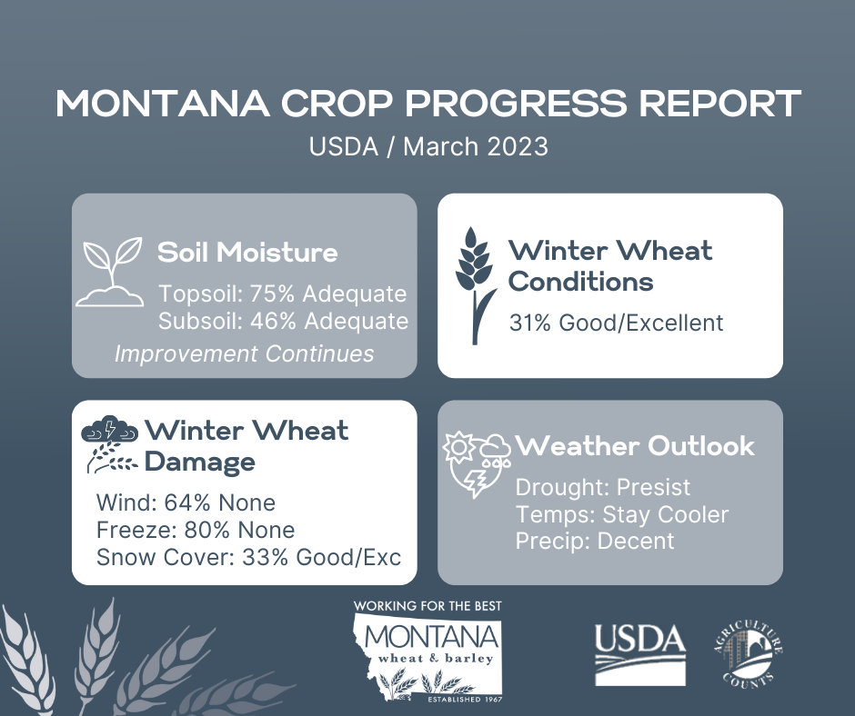 March USDA Crop Progress Report Montana Wheat and Barley Committee