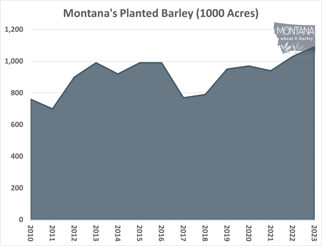 Montana Planted Barley 2023