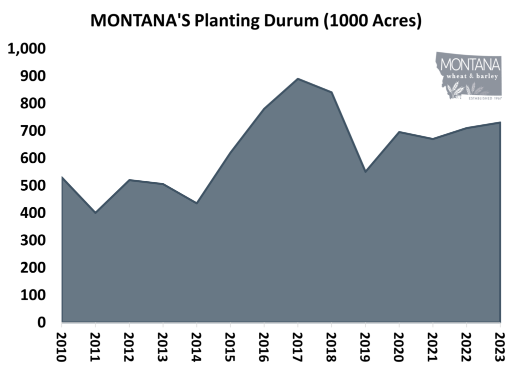 Montana Planted Durum 2023