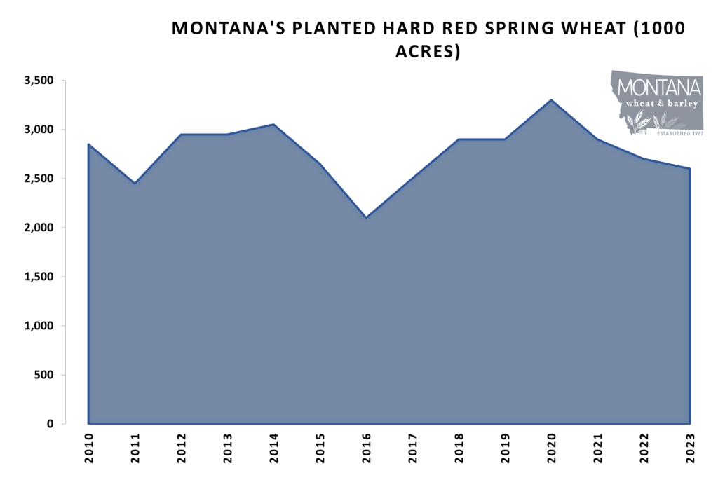 Montana Planted Hard Red Spring Wheat 2023