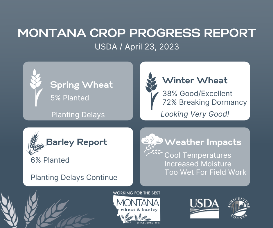 USDA Crop Progress Report April 23, 2023 Montana Wheat and Barley