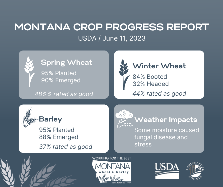 USDA Crop Progress Report June 11th, 2023