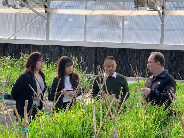 Photo of people looking at a crop