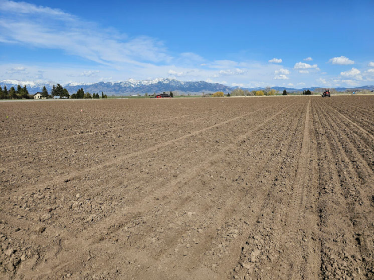 Photo of soil in a cropless field