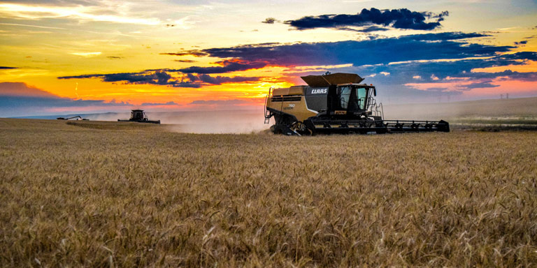 Wheat Combines Conover