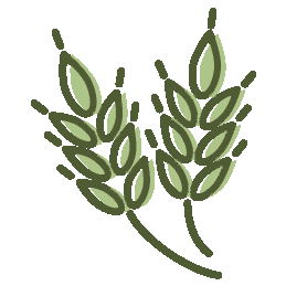 Wheat Icon