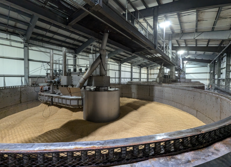Malt