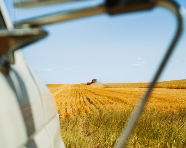 2026Harvest_Keedn
